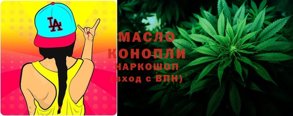 молекула духа Переславль-Залесский