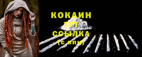 дмт Богородицк
