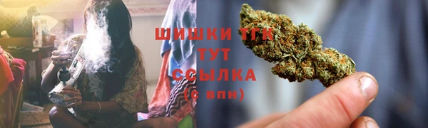 твердый Богородск