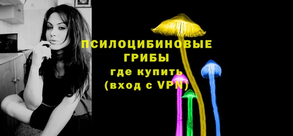 дмт Богородицк
