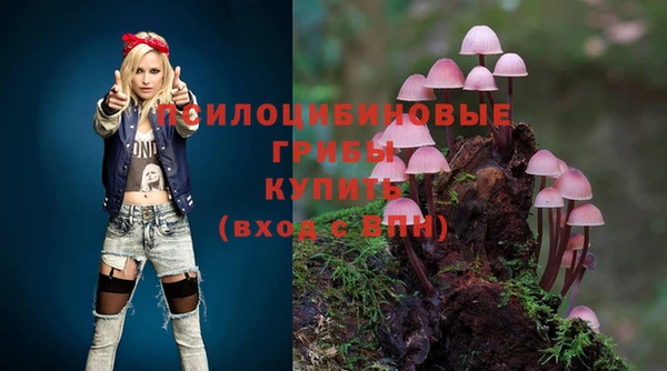 экстази Пестово