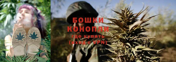 дмт Богородицк