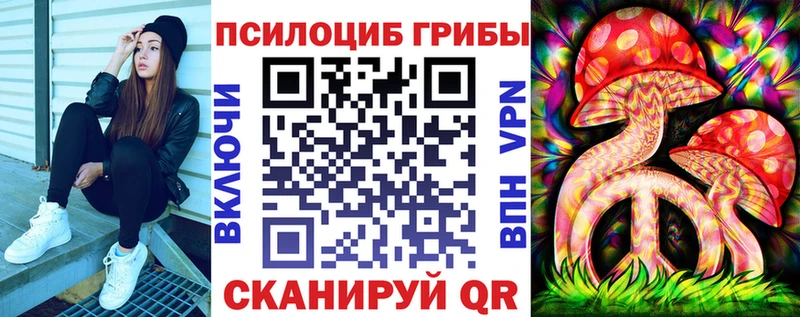 сколько стоит  Стрежевой  omg сайт  Псилоцибиновые грибы мицелий 